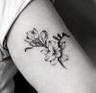 mesandraws.tattoo artist avatar
