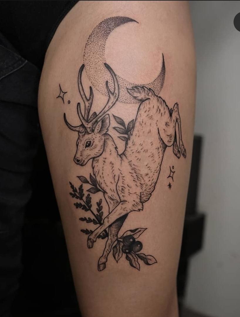 Inksearch tattoo Koti Tattoo Anna Pękala