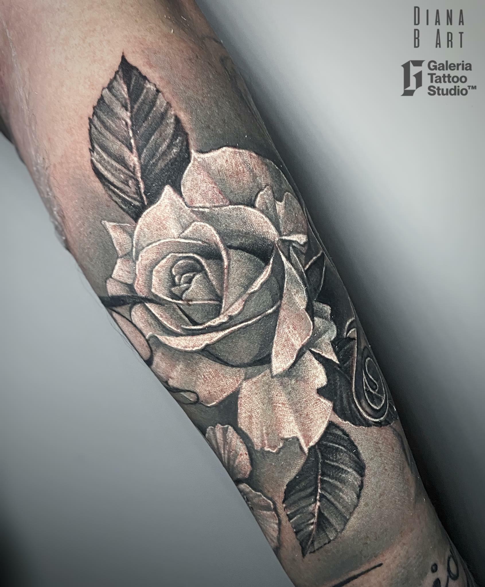 Inksearch tattoo Galeria Tattoo Studio