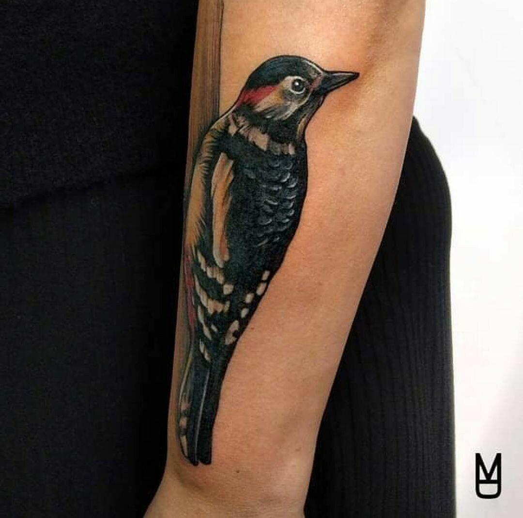 Inksearch tattoo Szron Poznań