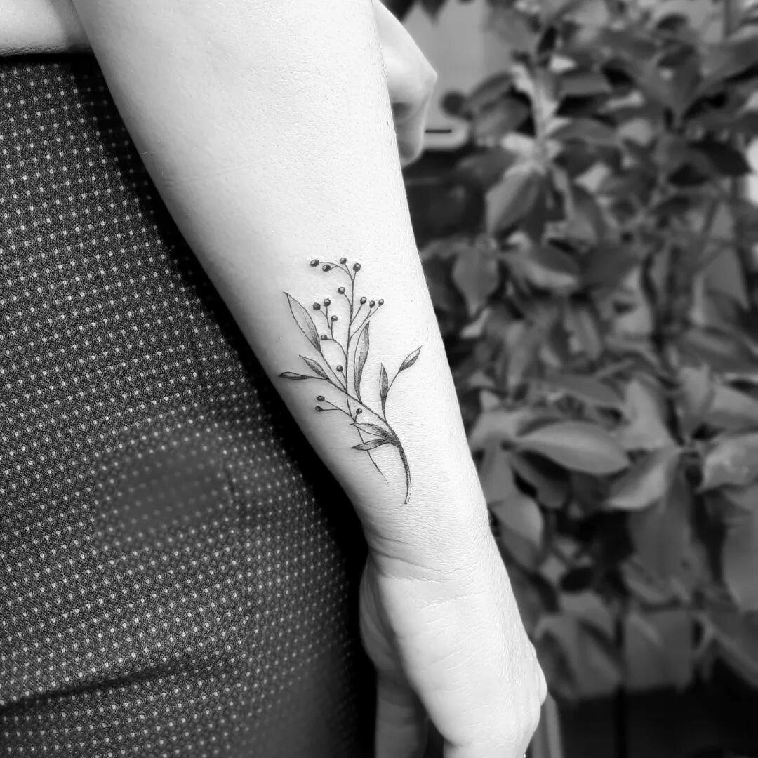 Inksearch tattoo Koti Tattoo Anna Pękala