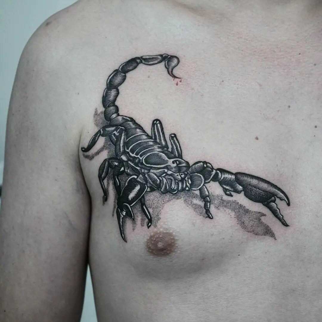 Inksearch tattoo Koti Tattoo Anna Pękala