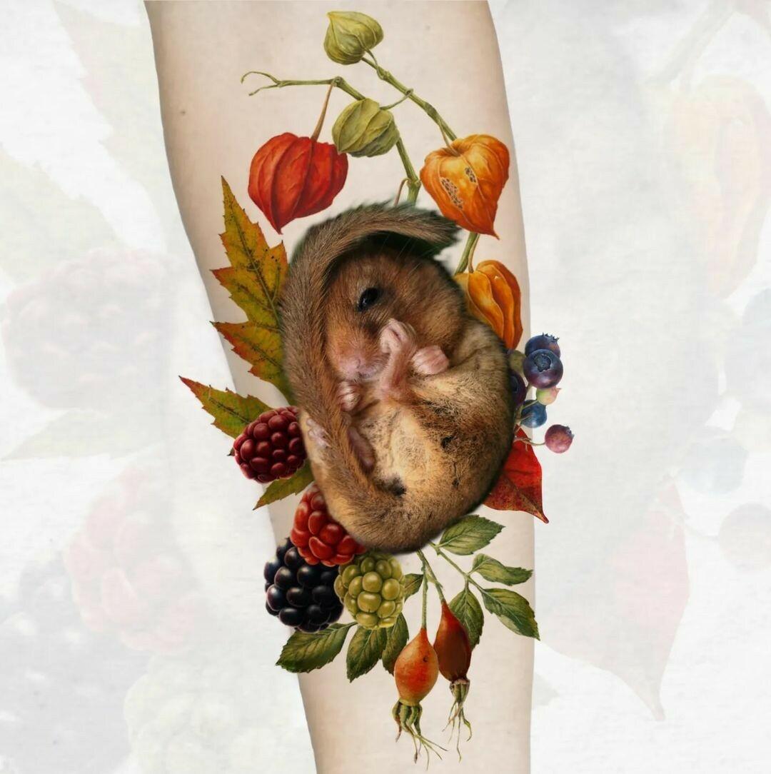 Inksearch tattoo myszata tattoo