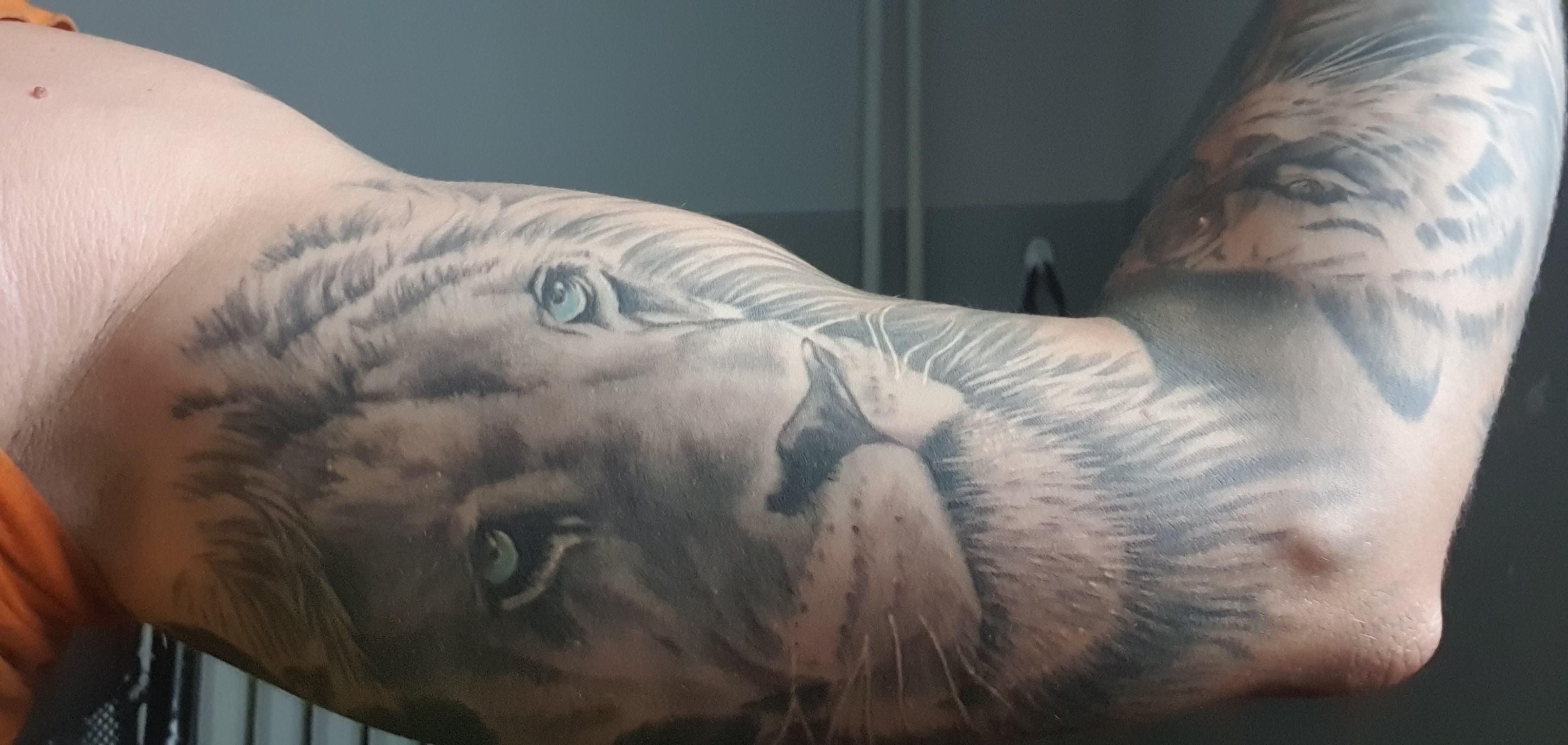 Inksearch tattoo VipWest