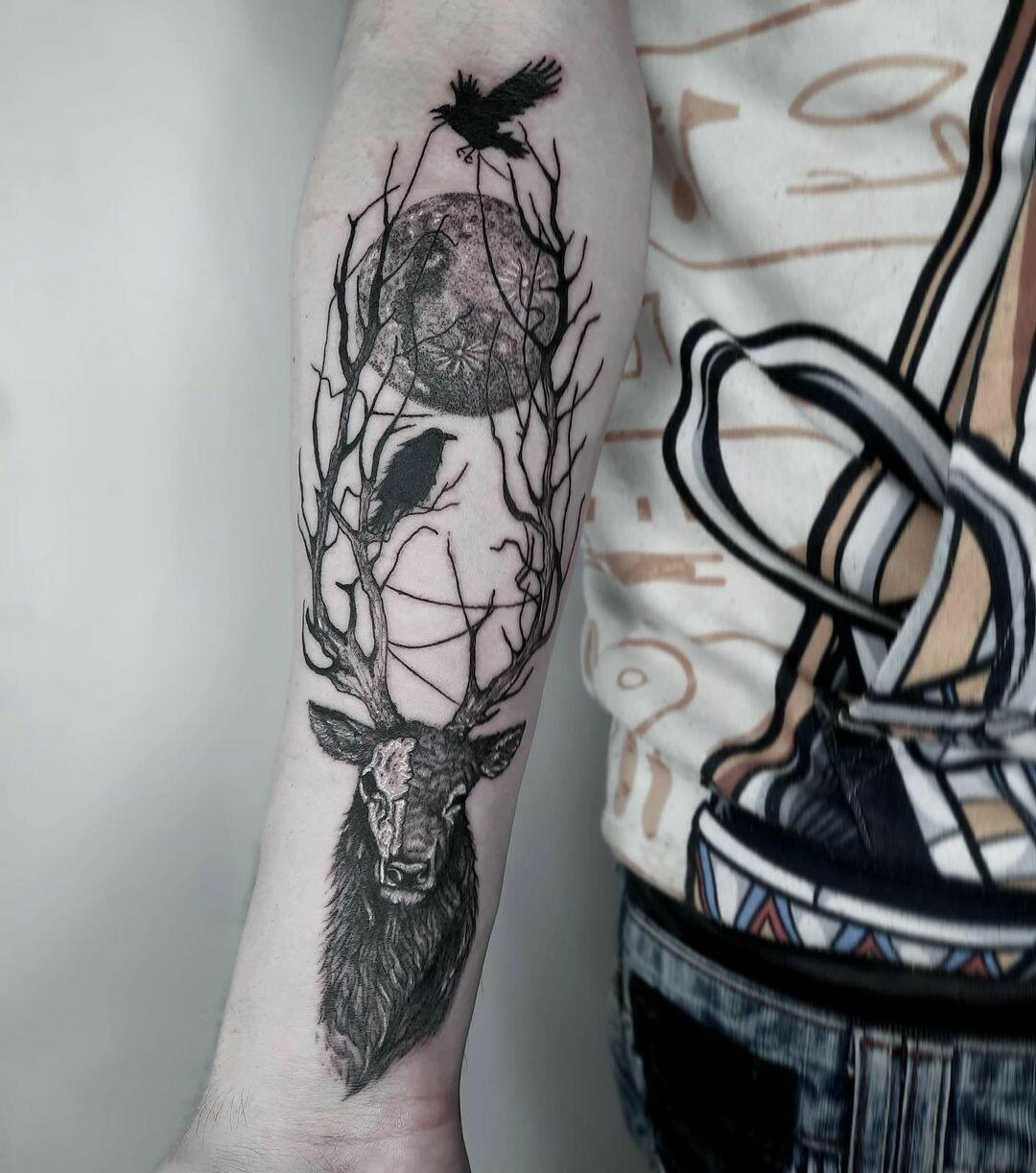 Inksearch tattoo Koti Tattoo Anna Pękala