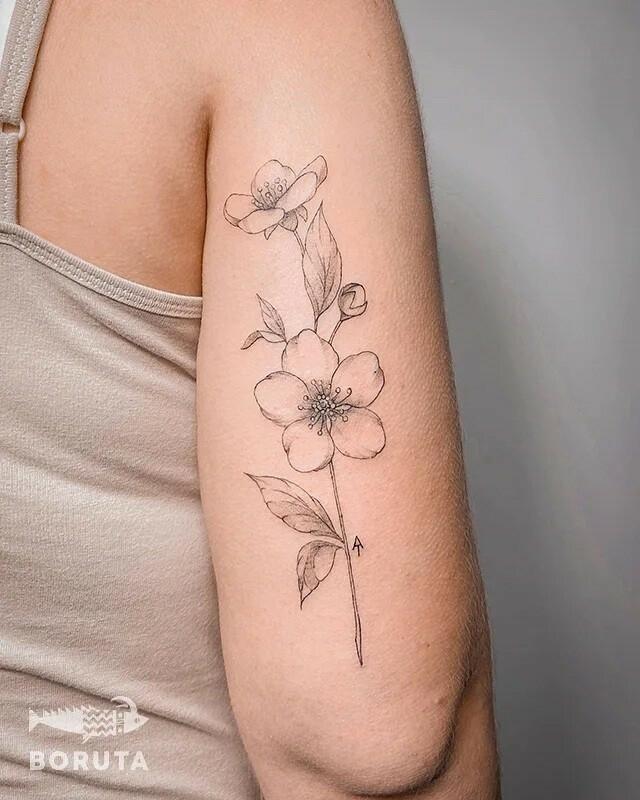 Inksearch tattoo Boruta Tattoo & Art Collective