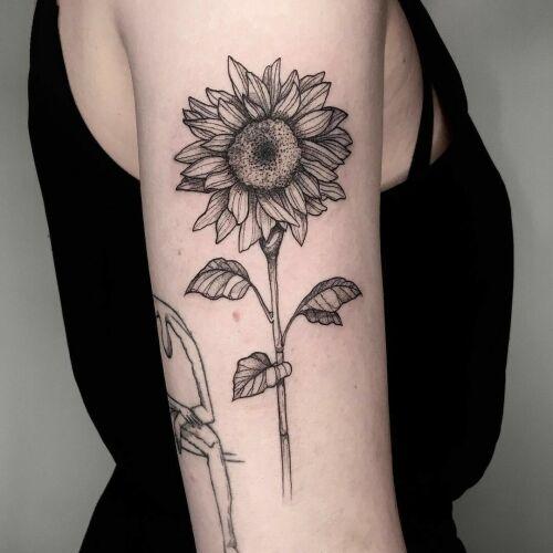 Tygrys inksearch tattoo