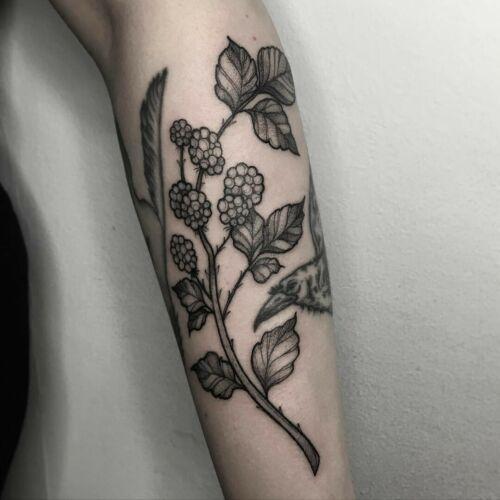Ola Płocidem inksearch tattoo