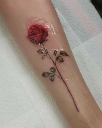 GinaIm - Żenia Imranova inksearch tattoo