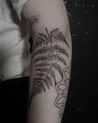 palecwnosie.tattoo inksearch tattoo