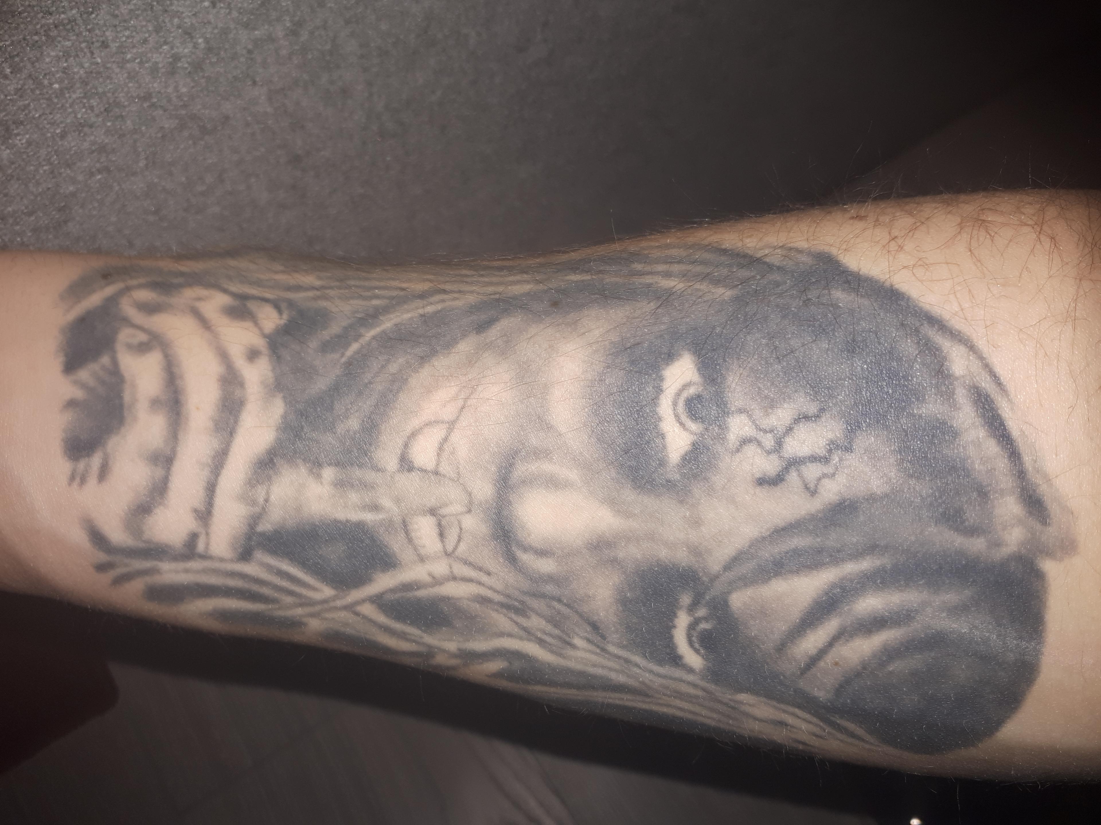 Inksearch tattoo Michal Gasiorowski