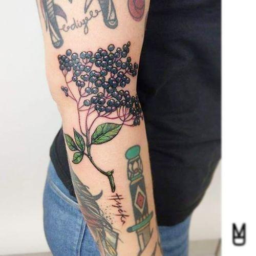 Monika Dolata inksearch tattoo