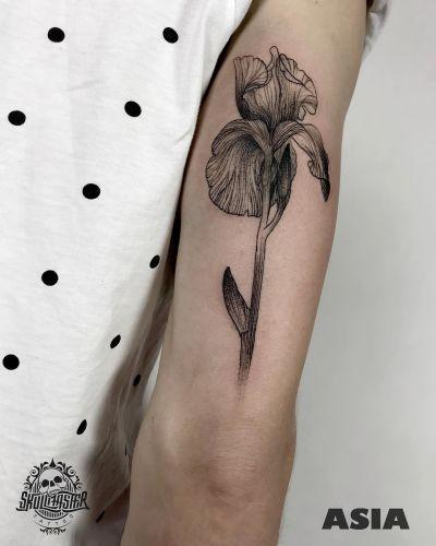 Joanna Kudzia inksearch tattoo